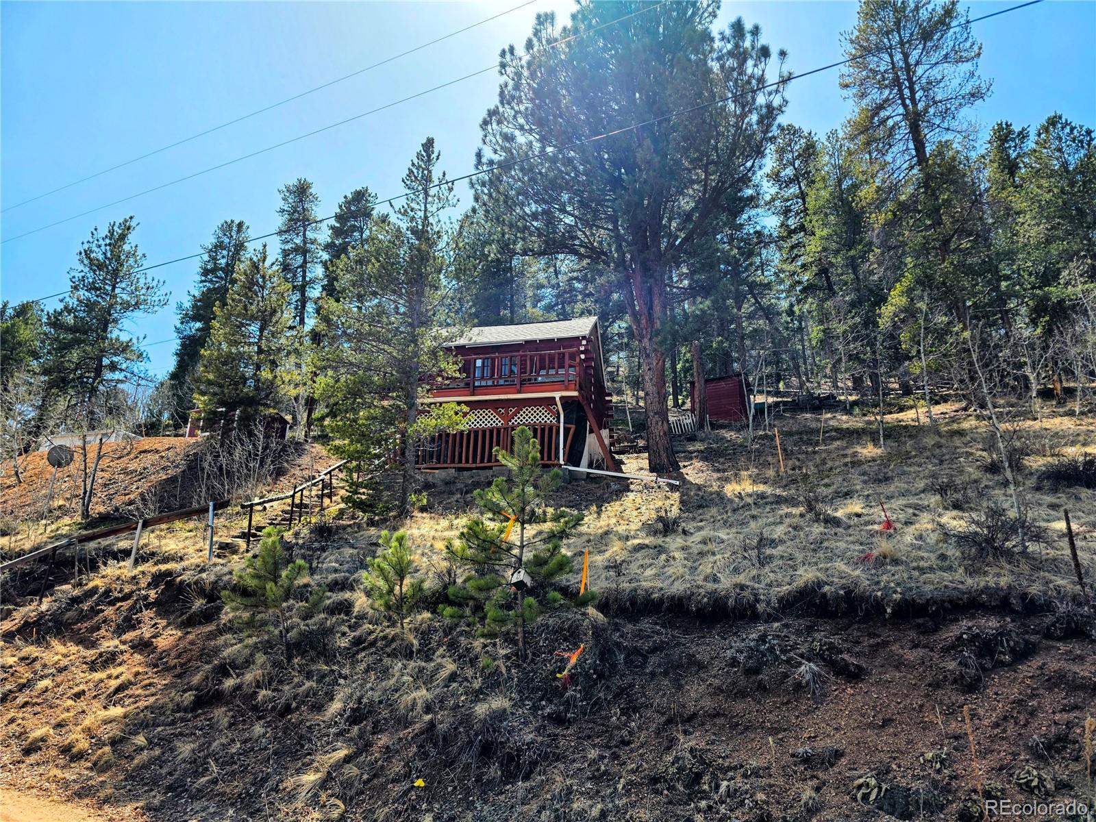 MLS Image #19 for 163  ward street,bailey, Colorado