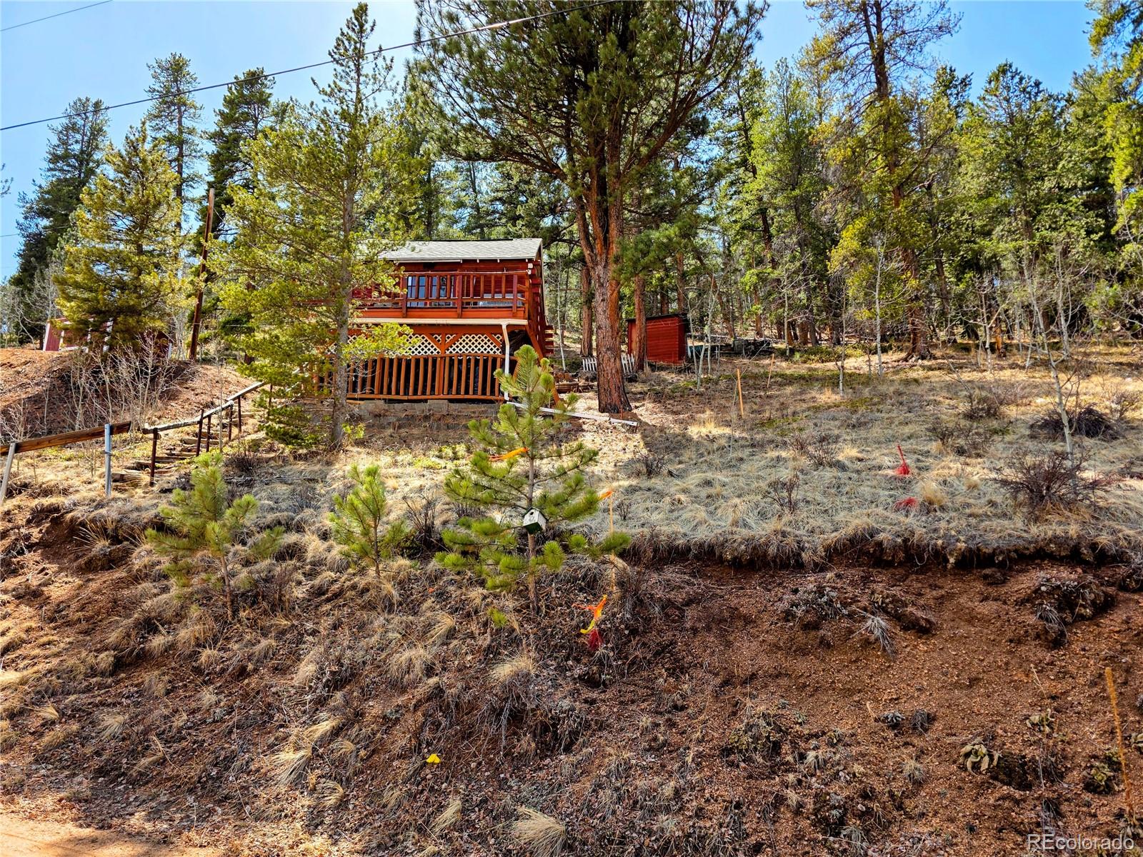 MLS Image #20 for 163  ward street,bailey, Colorado