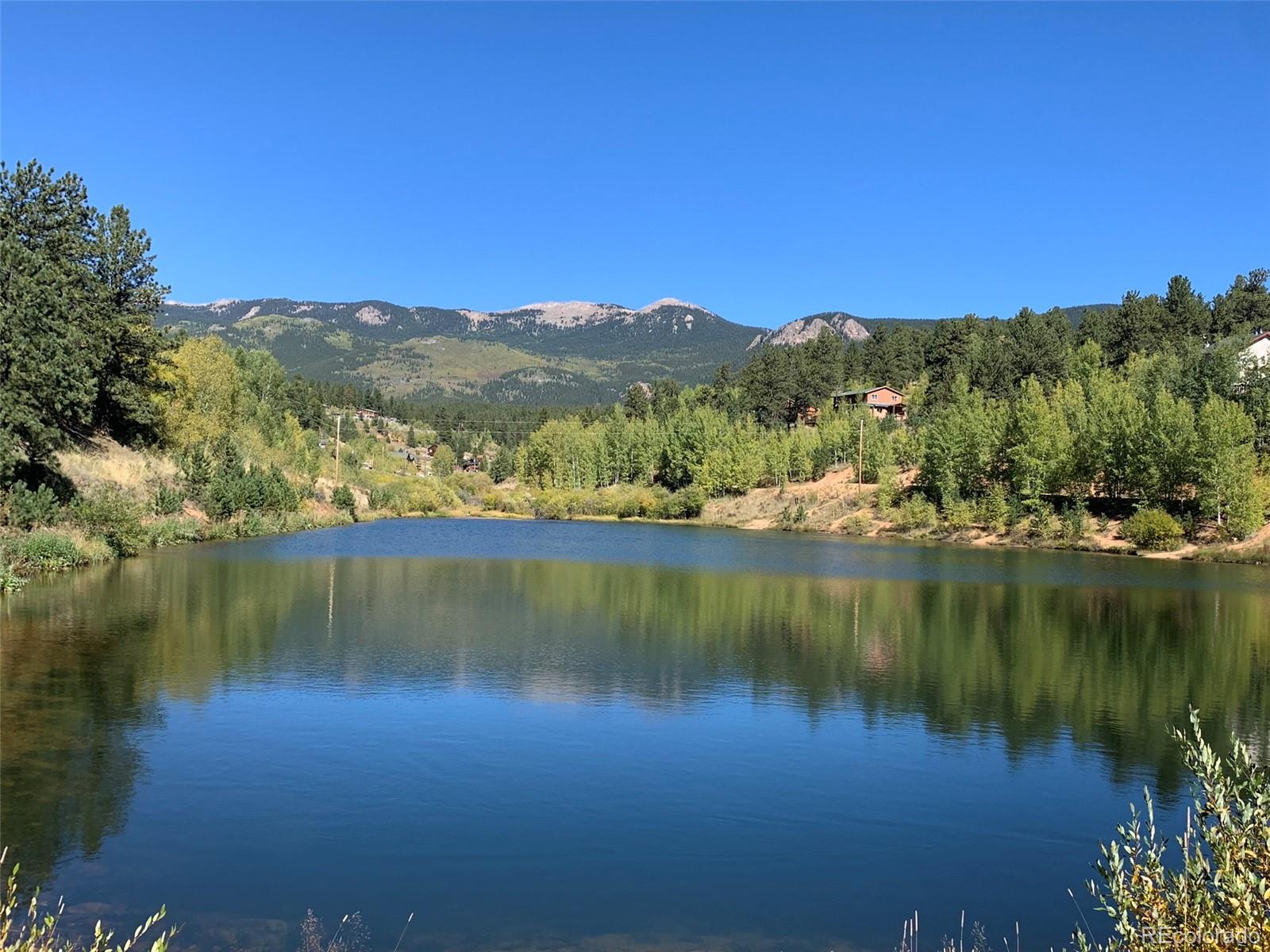 MLS Image #23 for 163  ward street,bailey, Colorado