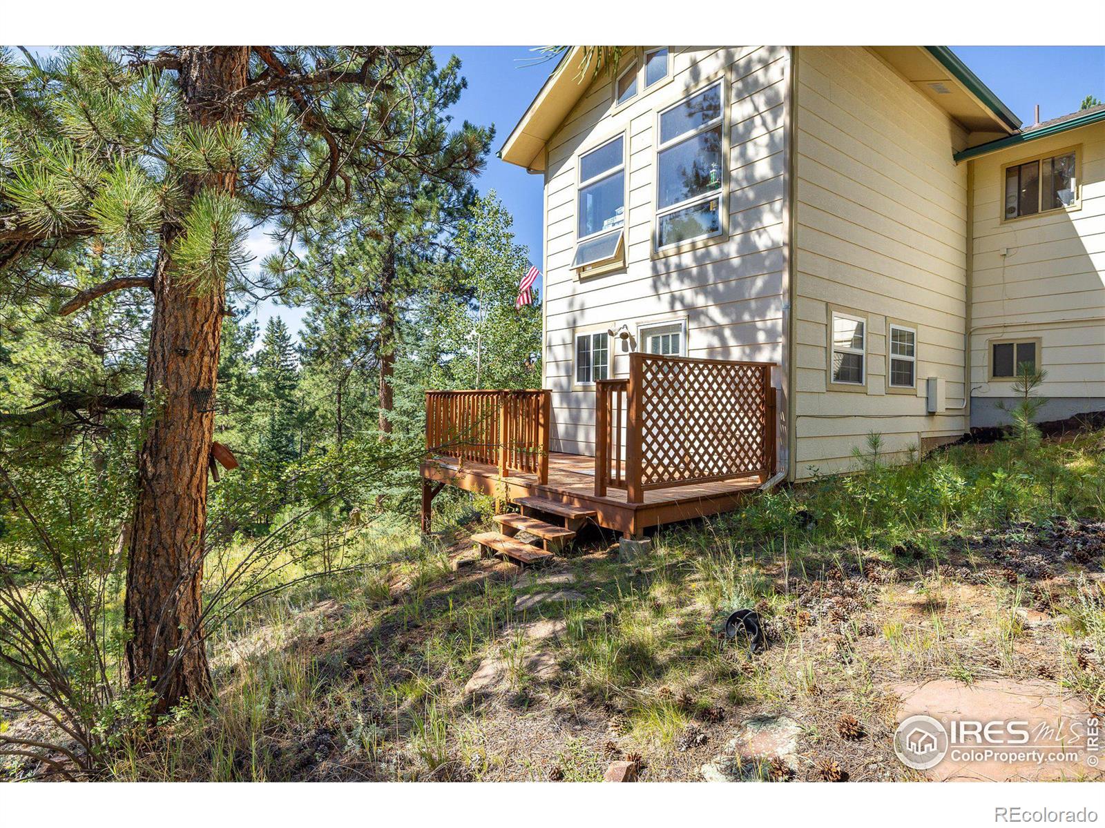 MLS Image #34 for 11744 s stallion drive,pine, Colorado