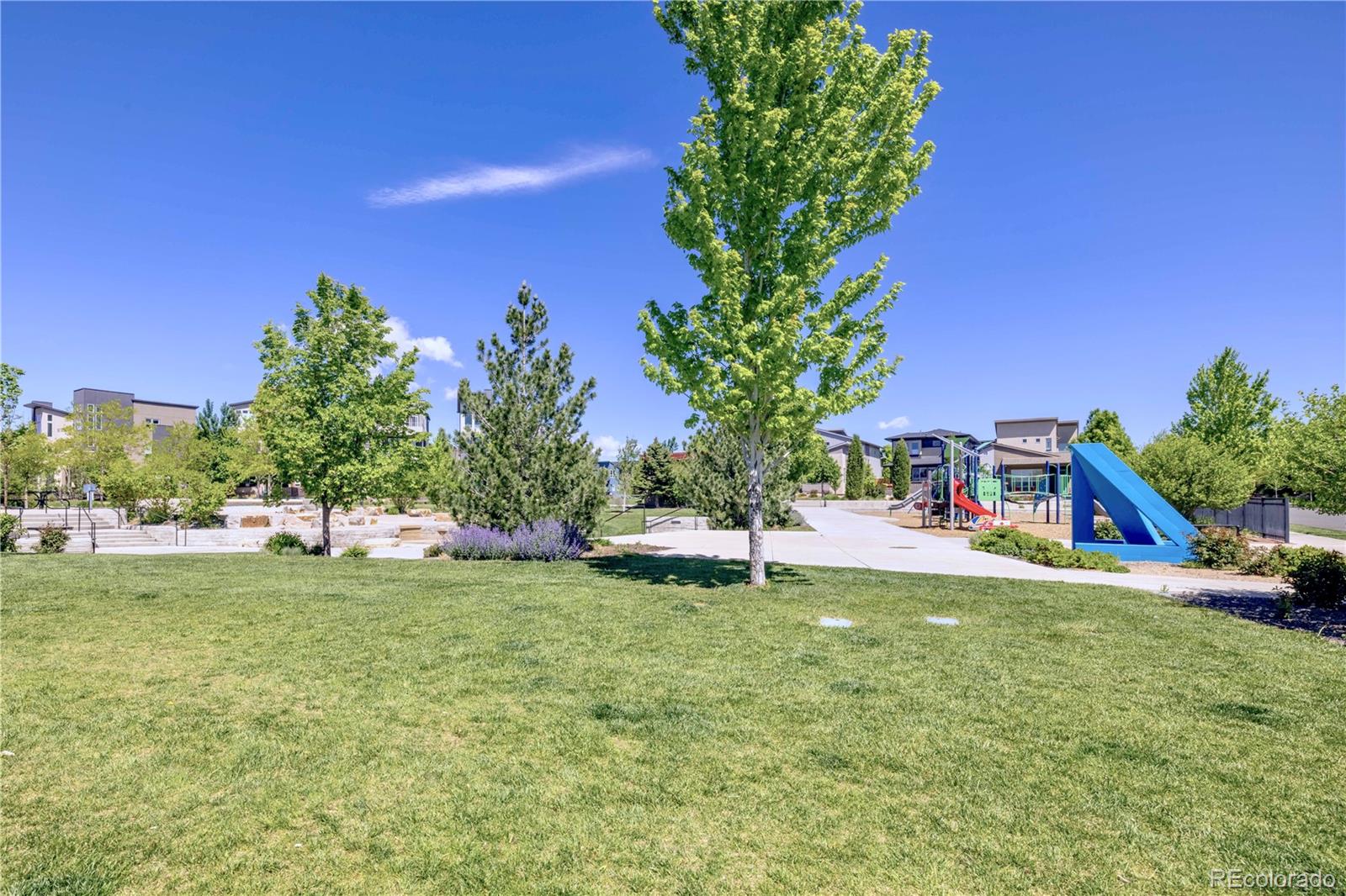 MLS Image #23 for 6682  osage street,denver, Colorado