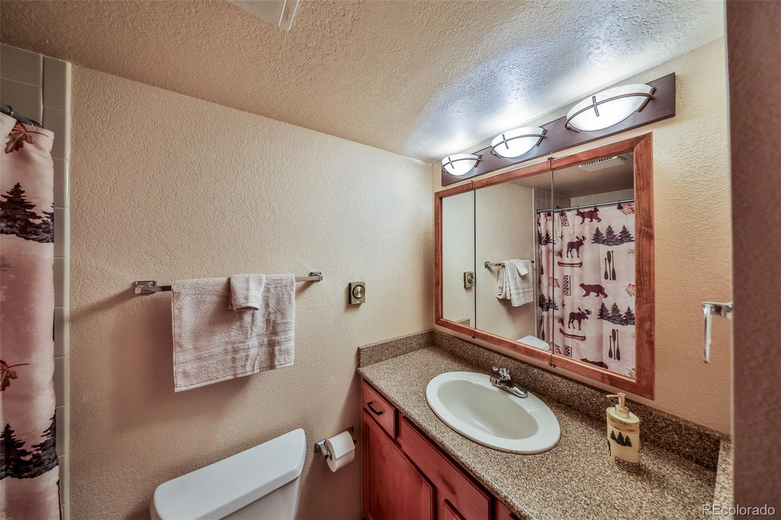 MLS Image #19 for 56  gcr 834 ,fraser, Colorado