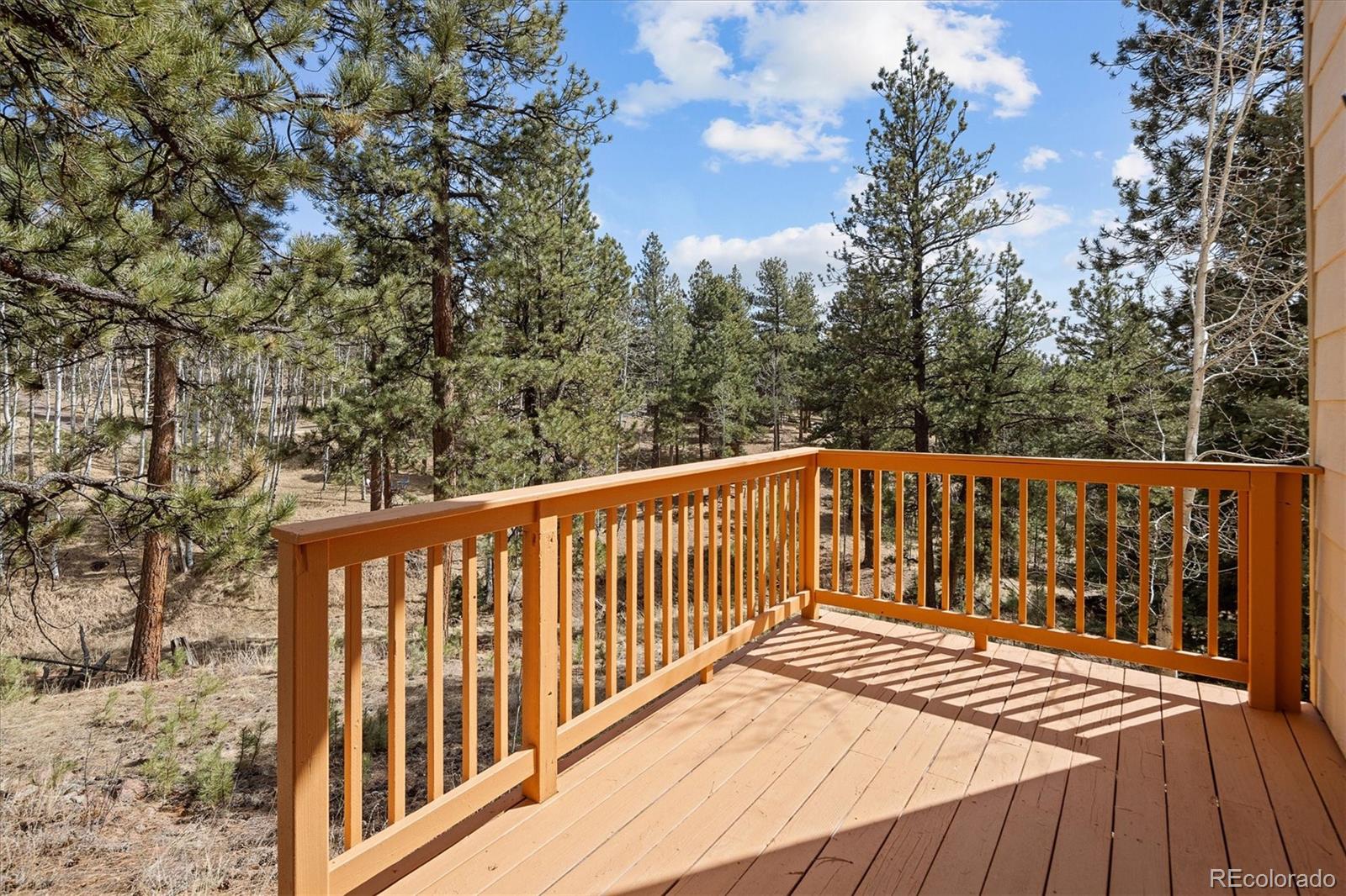 MLS Image #35 for 11744 s stallion drive,pine, Colorado