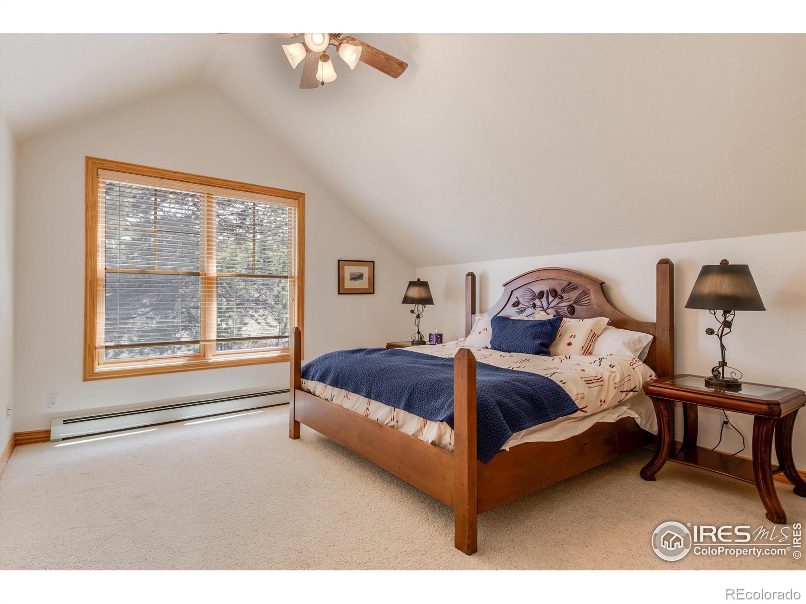 MLS Image #18 for 326  juniper court,red feather lakes, Colorado