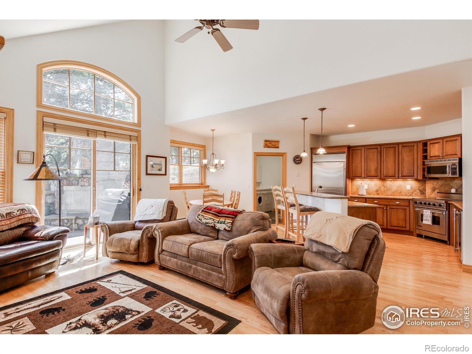 MLS Image #5 for 326  juniper court,red feather lakes, Colorado