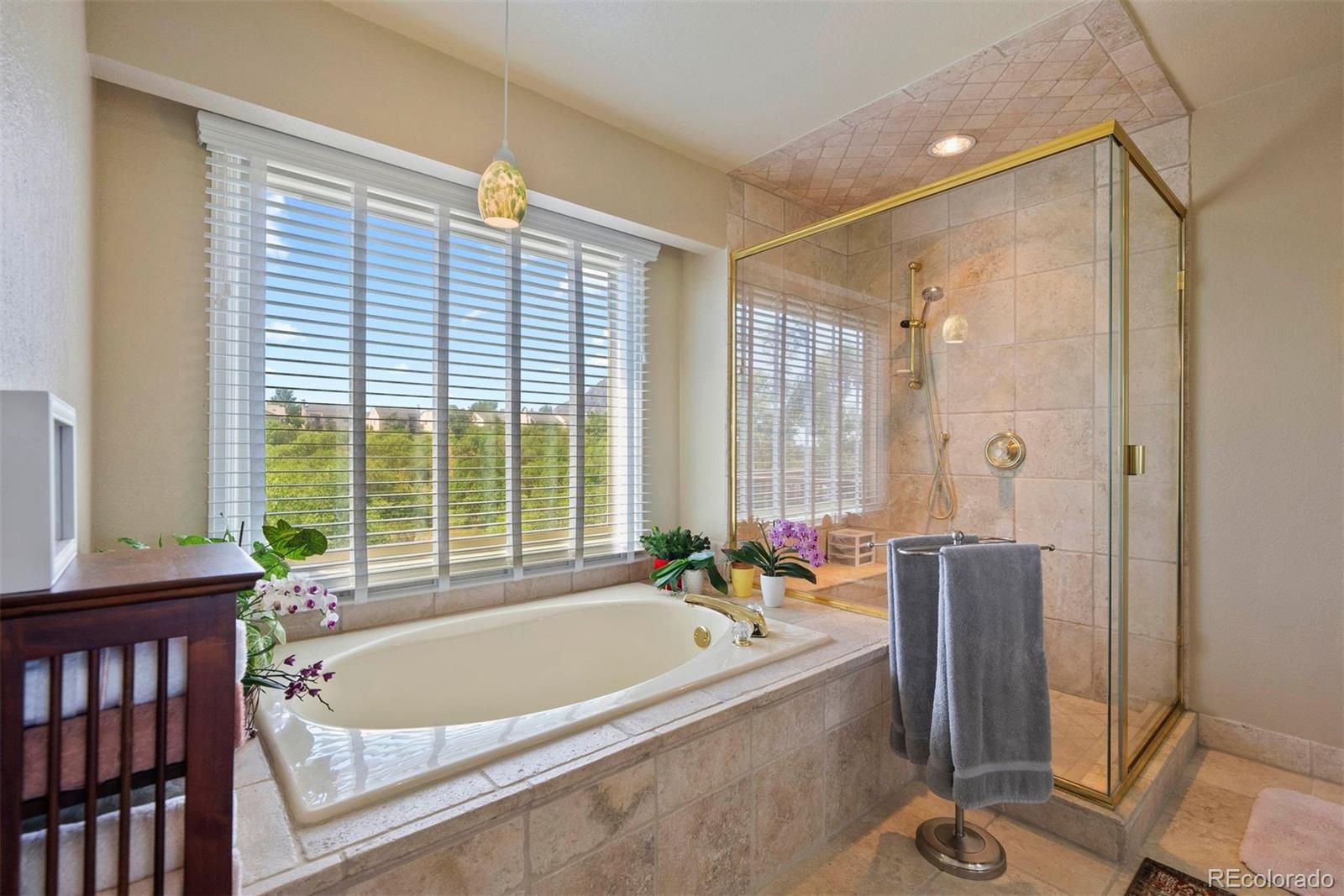 MLS Image #33 for 2854  tenderfoot hill street,colorado springs, Colorado