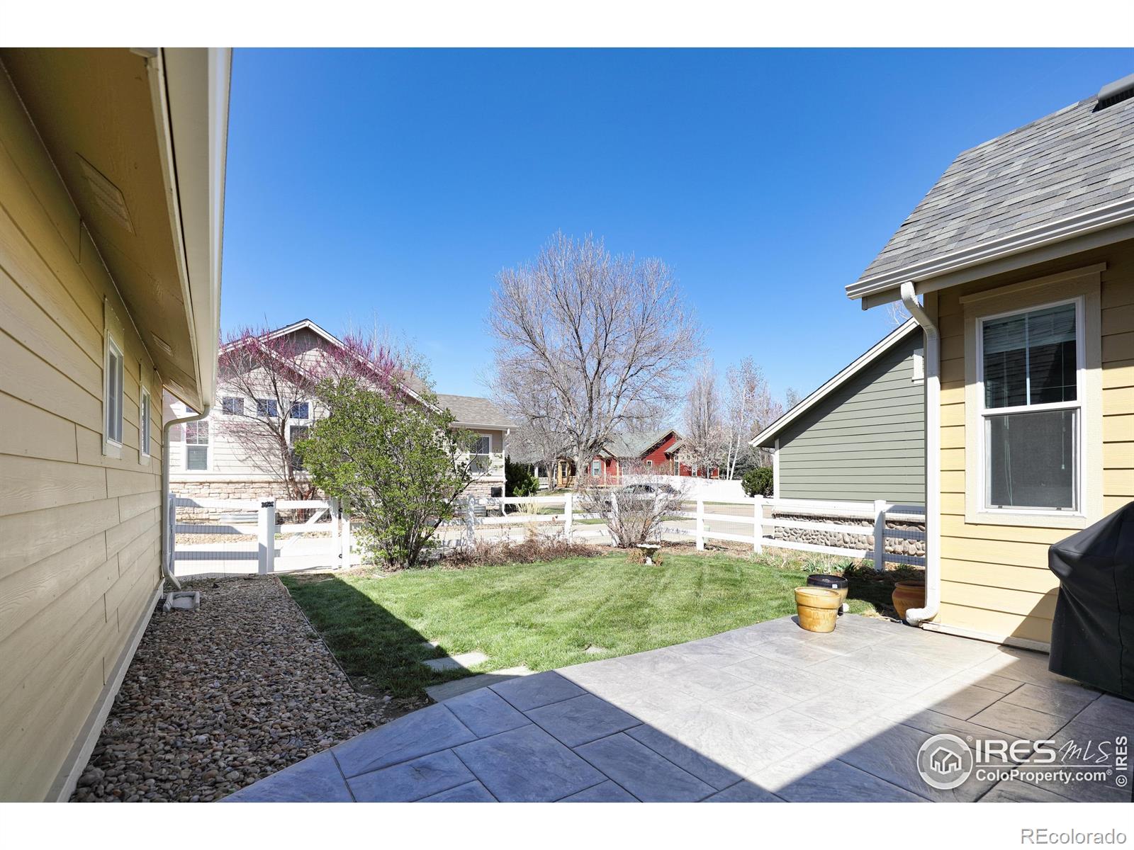 MLS Image #14 for 4215  bella vista drive,longmont, Colorado