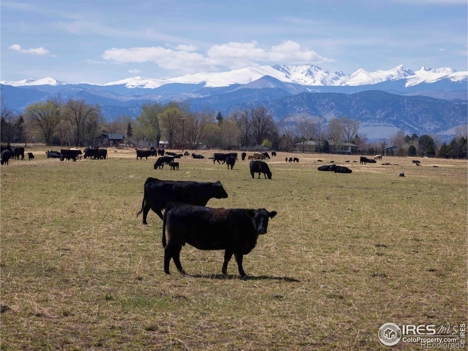 MLS Image #30 for 7940  valmont road,boulder, Colorado