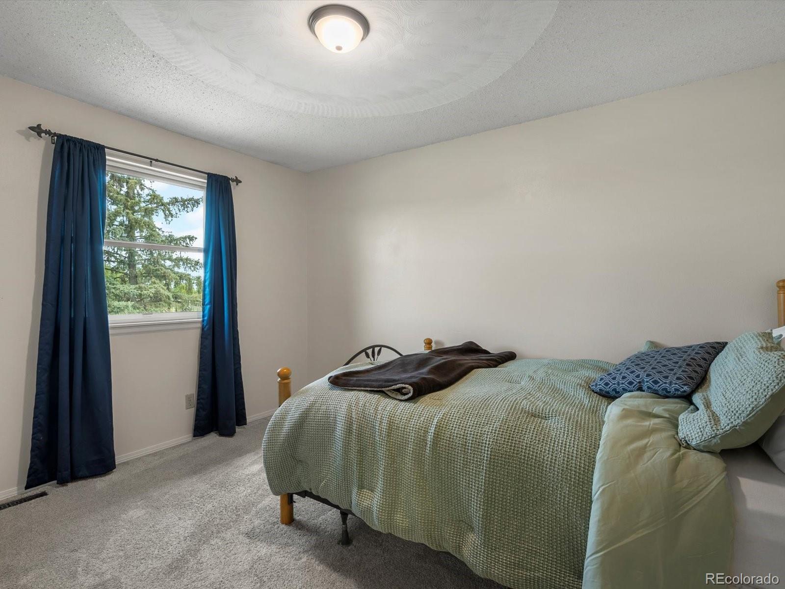 MLS Image #28 for 10978  roseanna drive,northglenn, Colorado