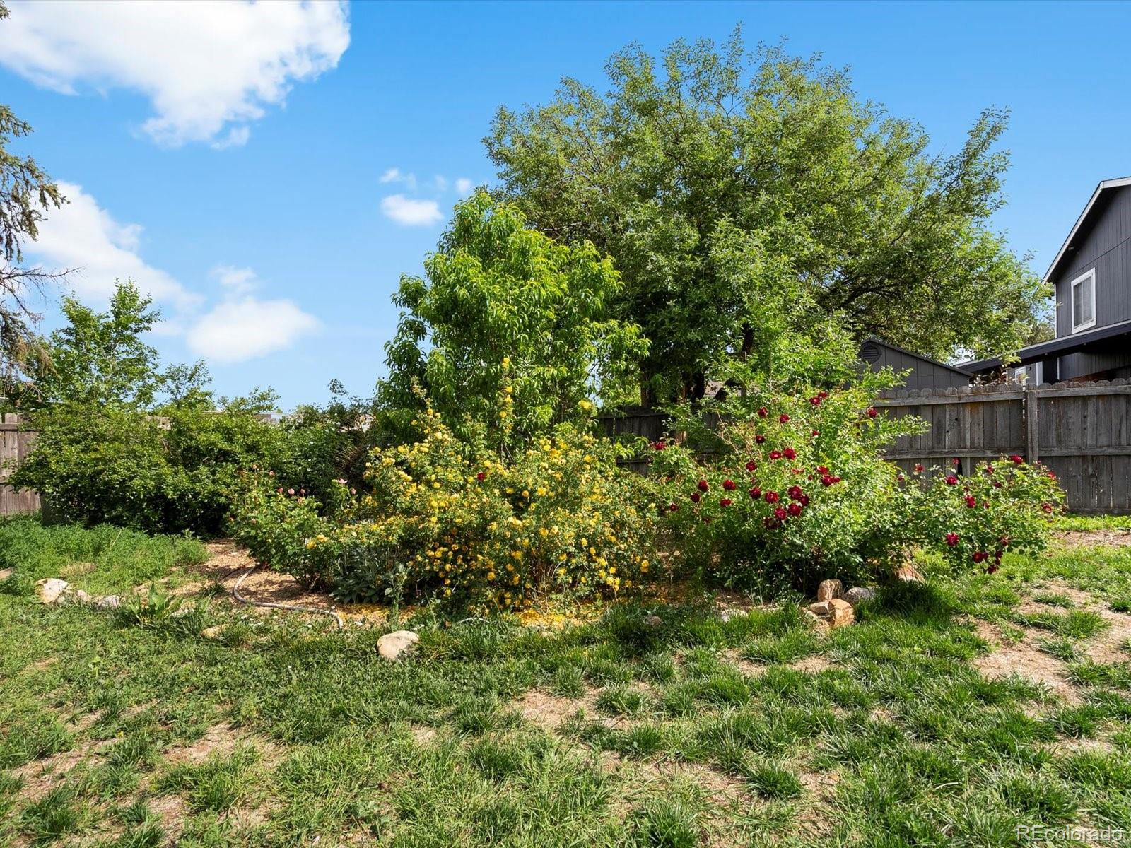 MLS Image #40 for 10978  roseanna drive,northglenn, Colorado