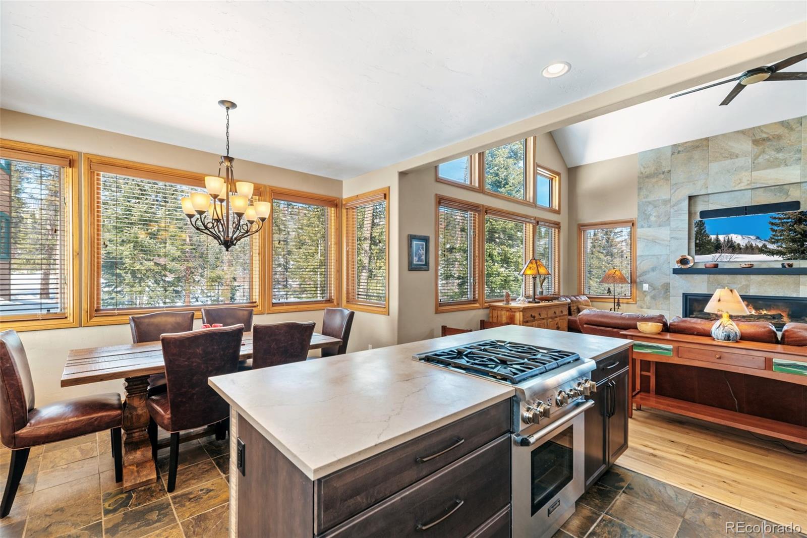 MLS Image #15 for 91791  ryan gulch road,silverthorne, Colorado