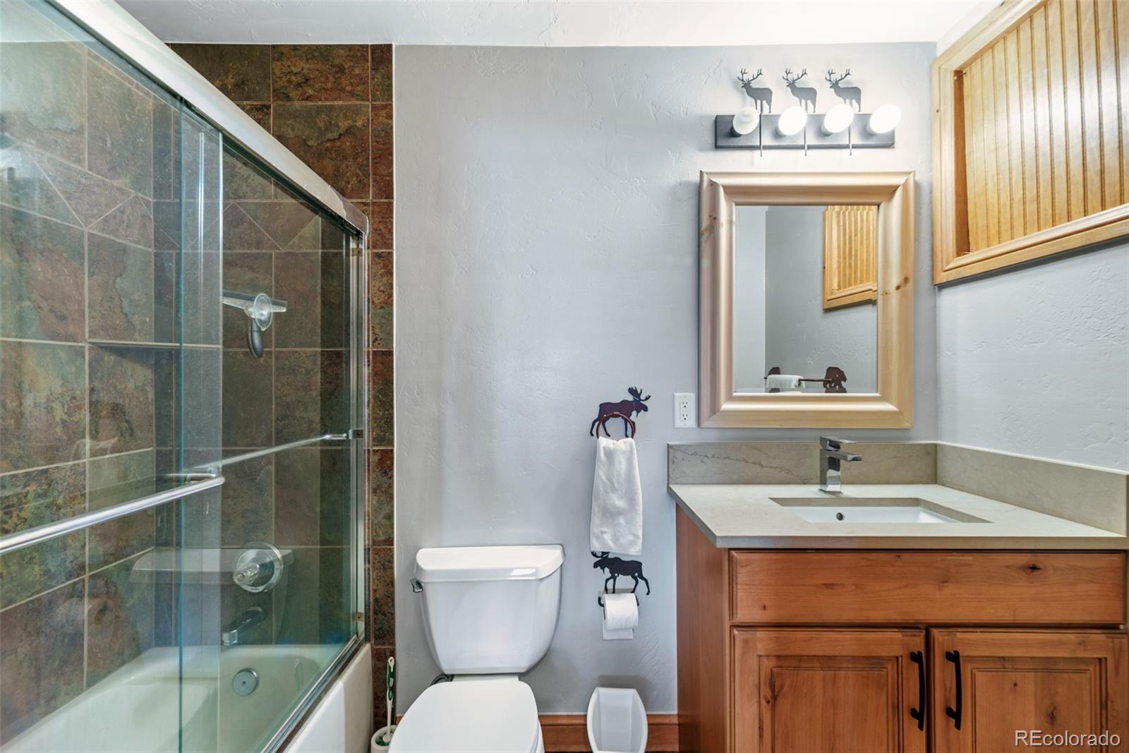 MLS Image #18 for 91791  ryan gulch road,silverthorne, Colorado