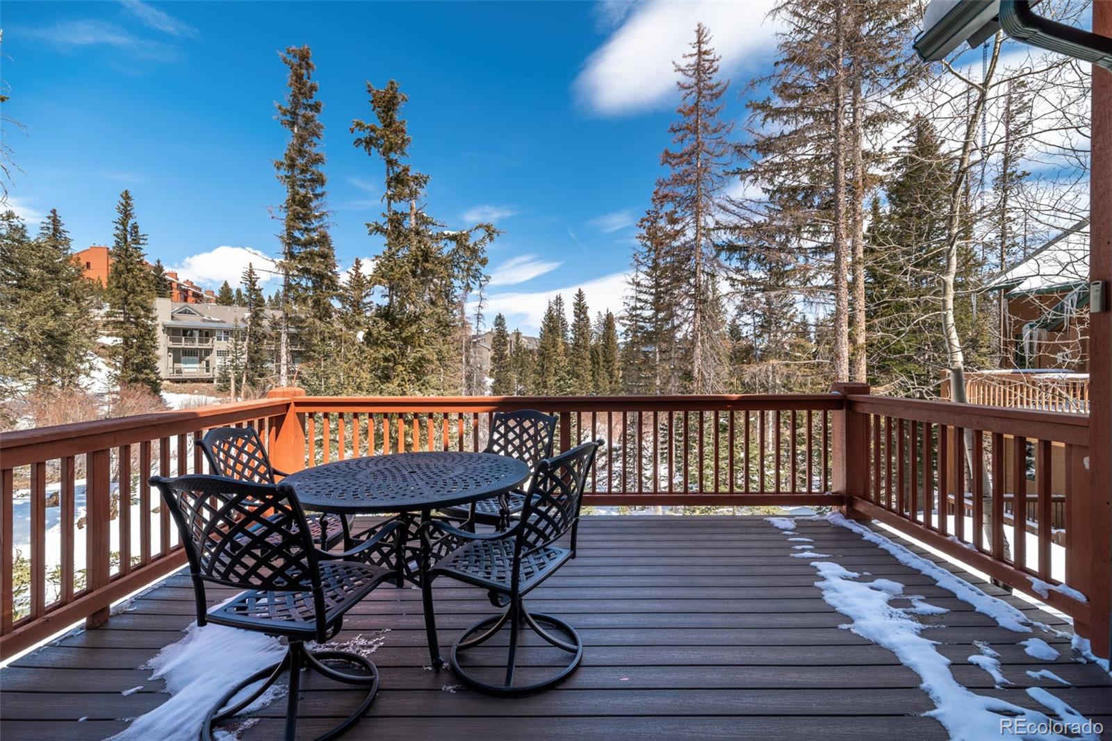 MLS Image #9 for 91791  ryan gulch road,silverthorne, Colorado