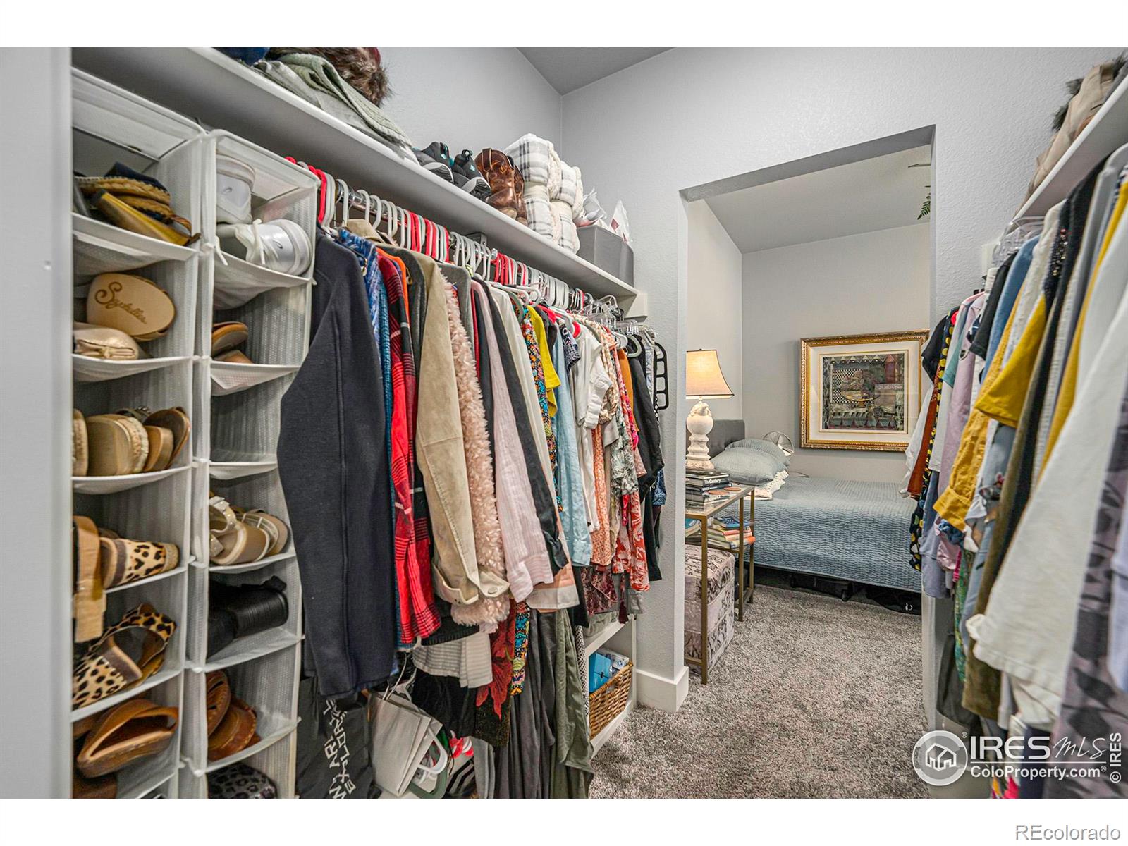 MLS Image #14 for 903  blondel street,fort collins, Colorado