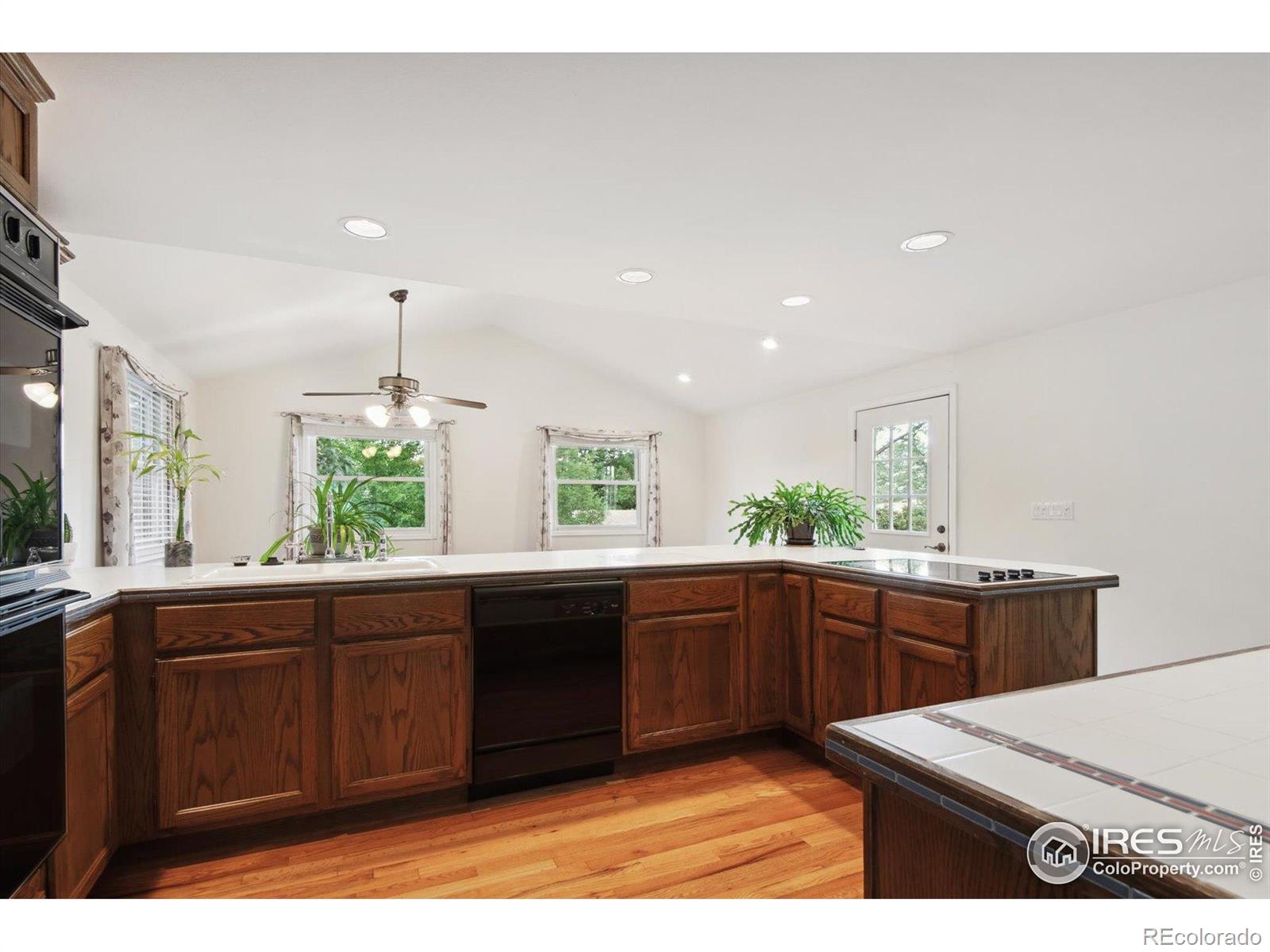 MLS Image #8 for 1518  vivian street,longmont, Colorado