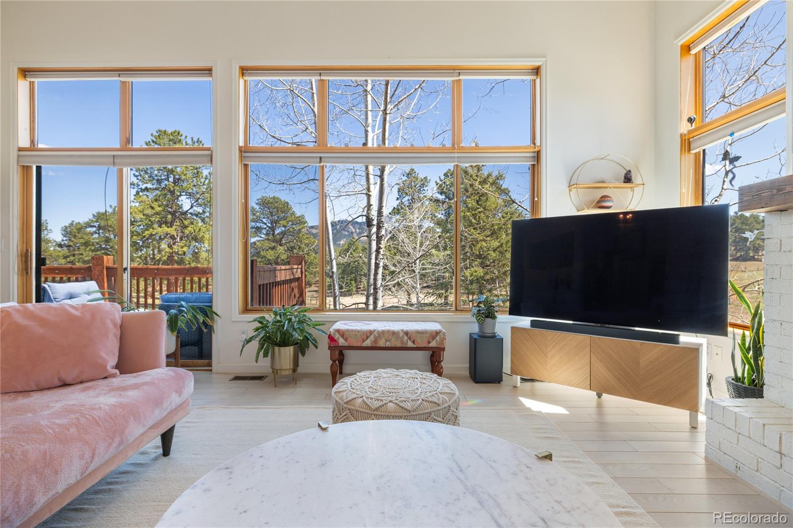 MLS Image #10 for 21505  spring creek road,buffalo creek, Colorado