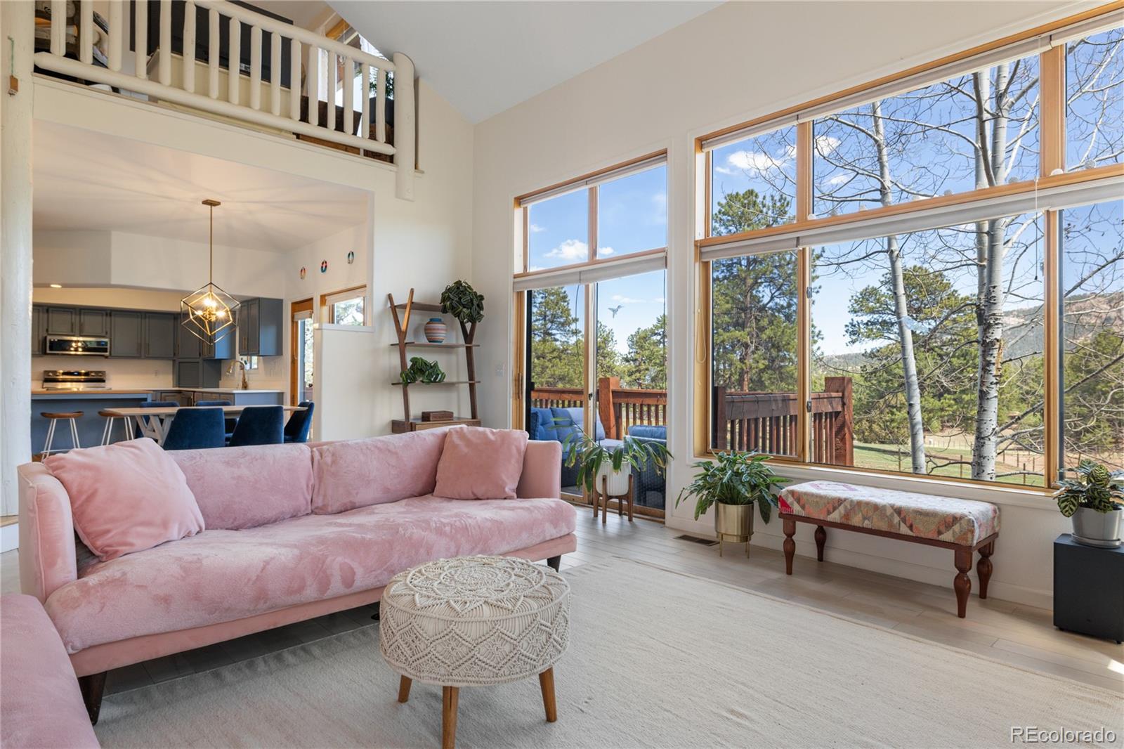 MLS Image #11 for 21505  spring creek road,buffalo creek, Colorado