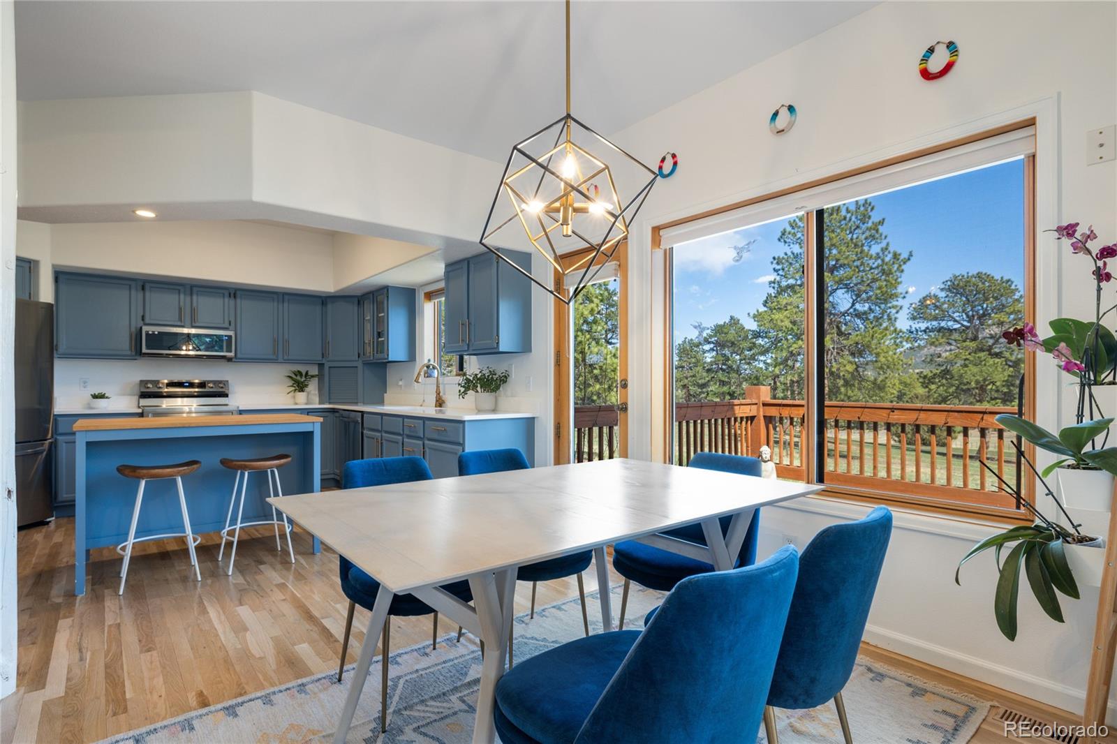 MLS Image #15 for 21505  spring creek road,buffalo creek, Colorado
