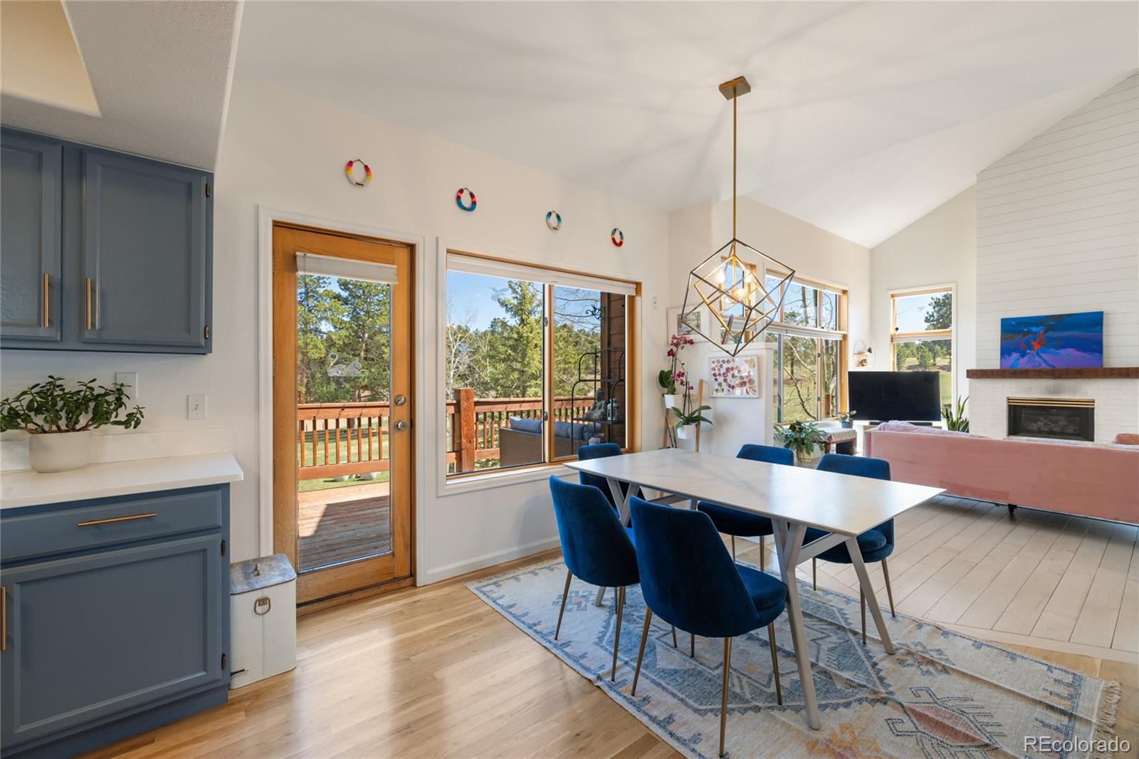 MLS Image #20 for 21505  spring creek road,buffalo creek, Colorado