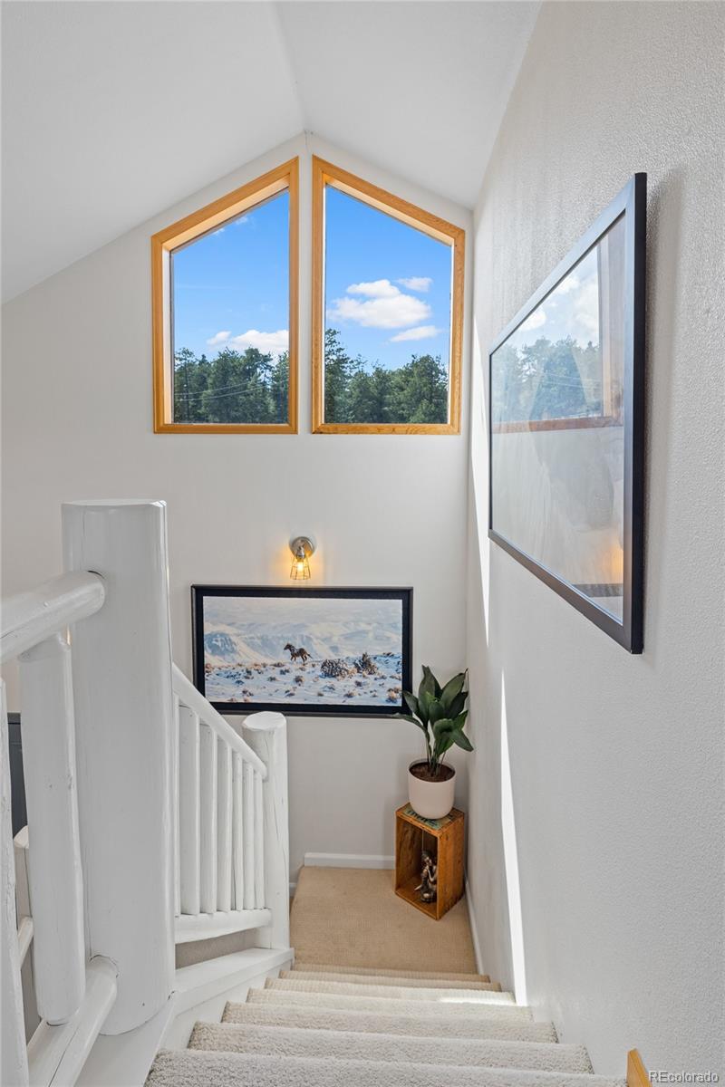 MLS Image #22 for 21505  spring creek road,buffalo creek, Colorado
