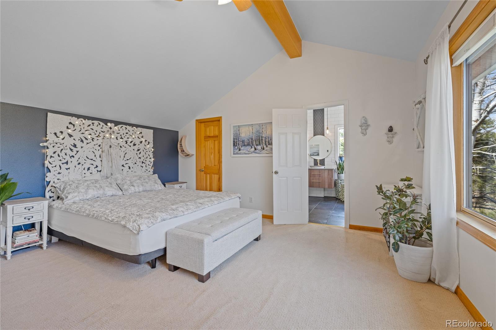 MLS Image #23 for 21505  spring creek road,buffalo creek, Colorado