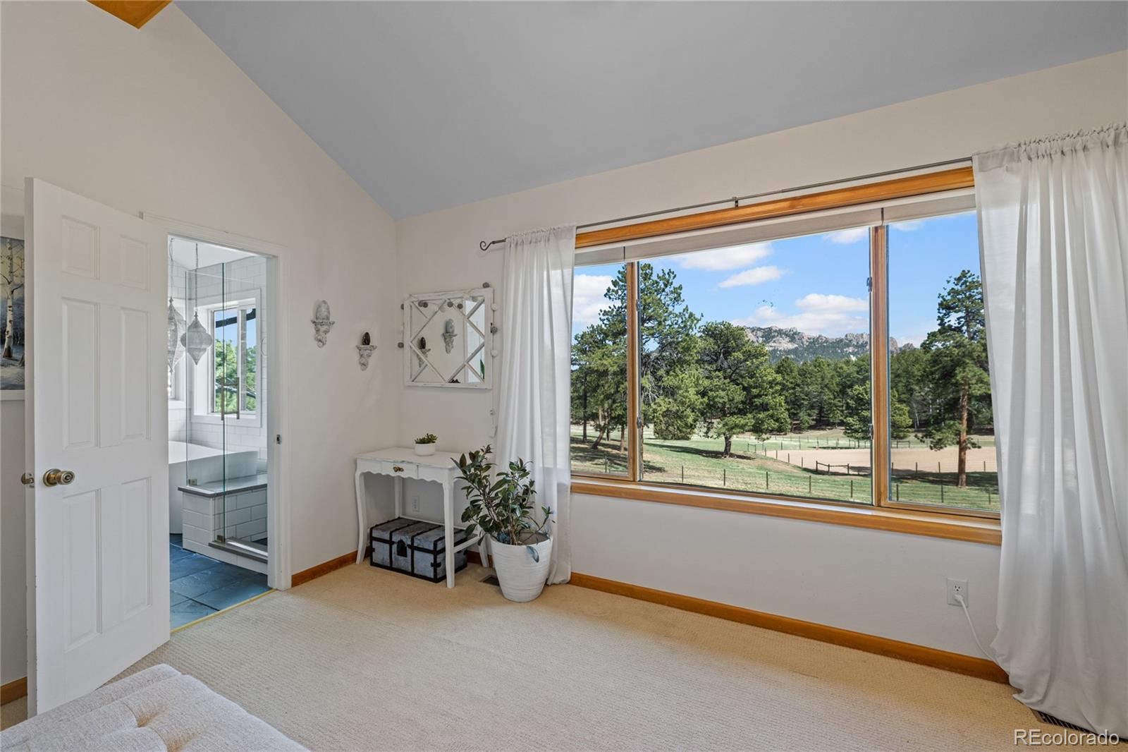 MLS Image #24 for 21505  spring creek road,buffalo creek, Colorado