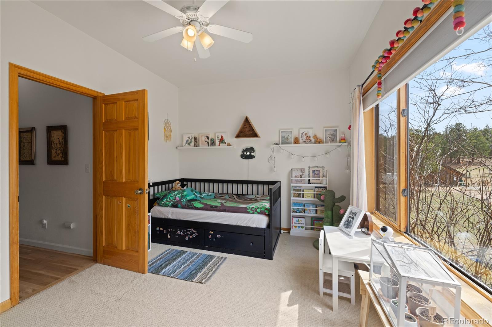 MLS Image #33 for 21505  spring creek road,buffalo creek, Colorado