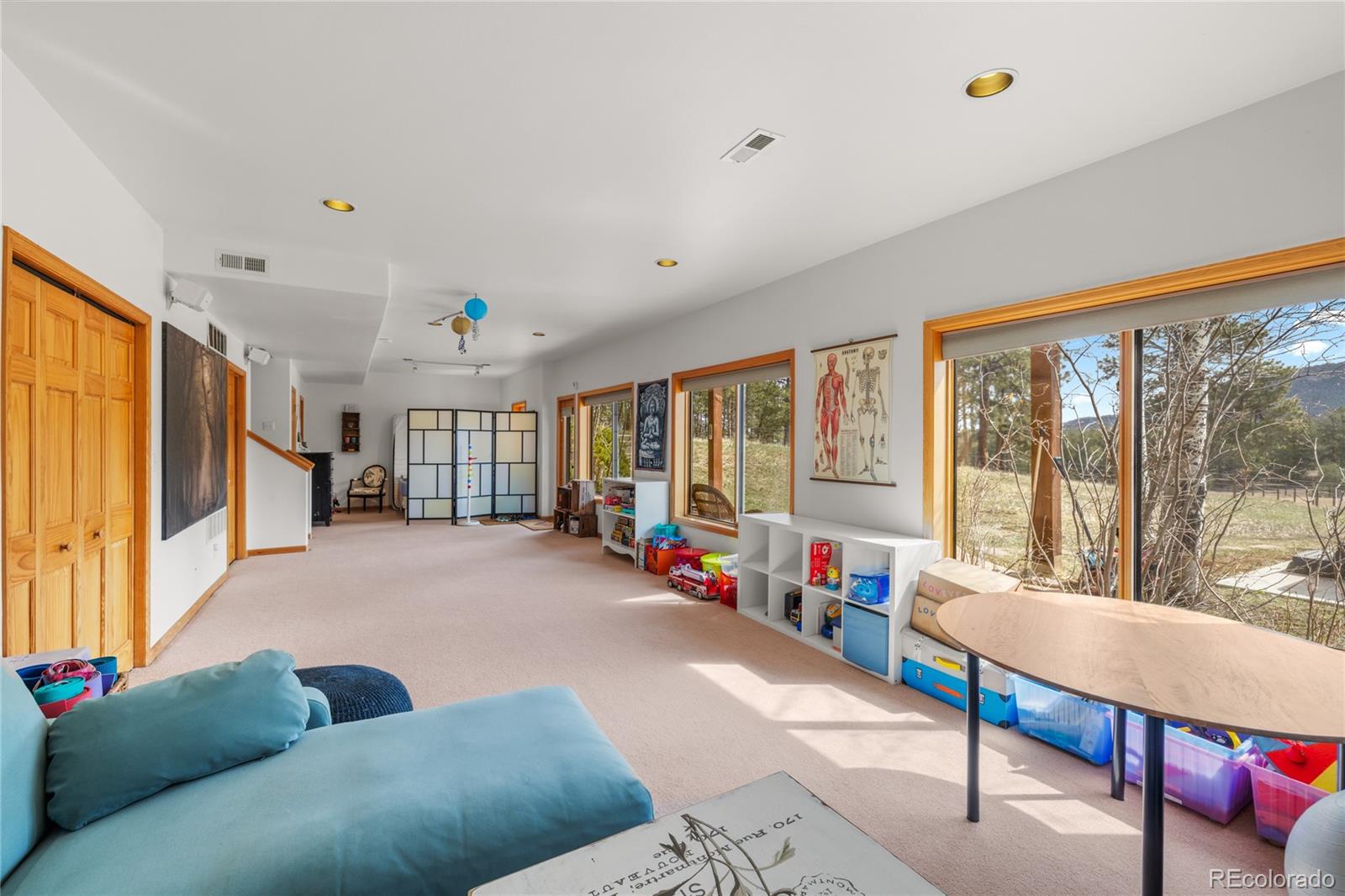 MLS Image #34 for 21505  spring creek road,buffalo creek, Colorado