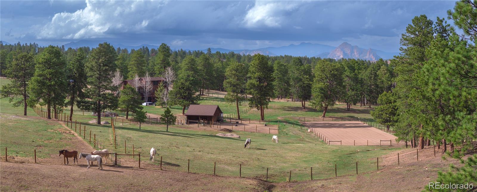 MLS Image #42 for 21505  spring creek road,buffalo creek, Colorado