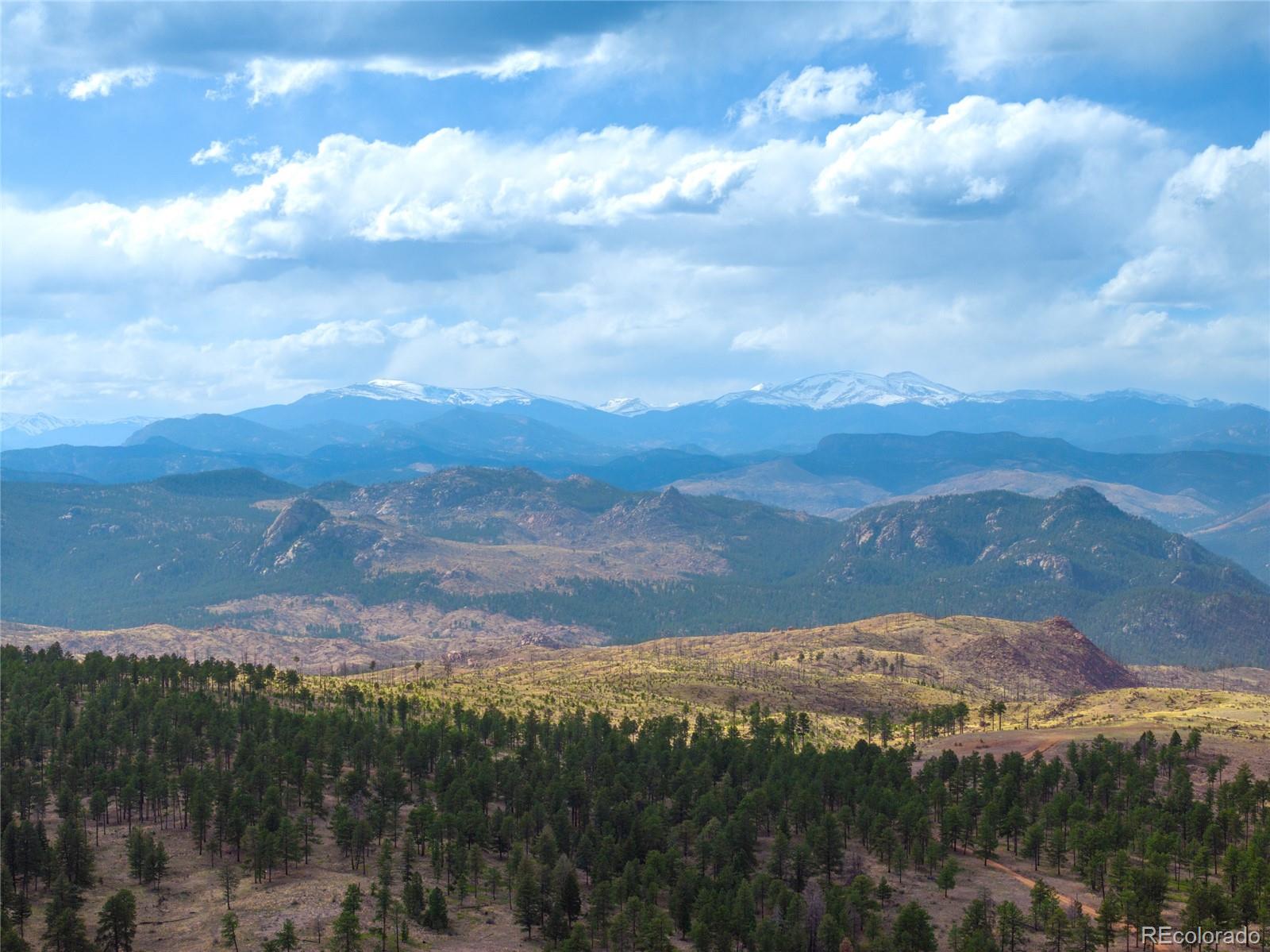 MLS Image #47 for 21505  spring creek road,buffalo creek, Colorado