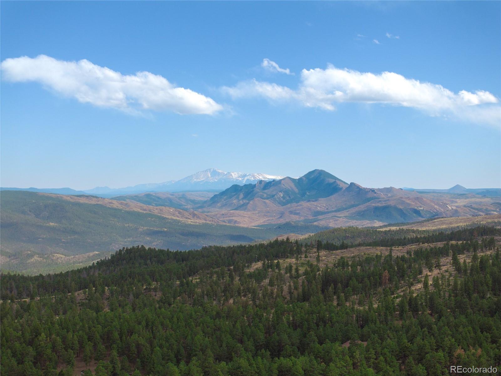 MLS Image #48 for 21505  spring creek road,buffalo creek, Colorado