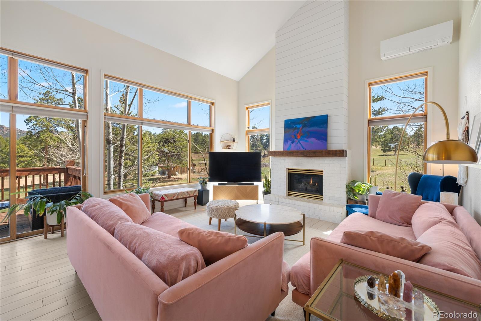 MLS Image #6 for 21505  spring creek road,buffalo creek, Colorado