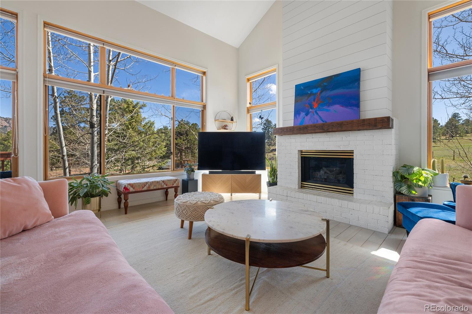 MLS Image #7 for 21505  spring creek road,buffalo creek, Colorado