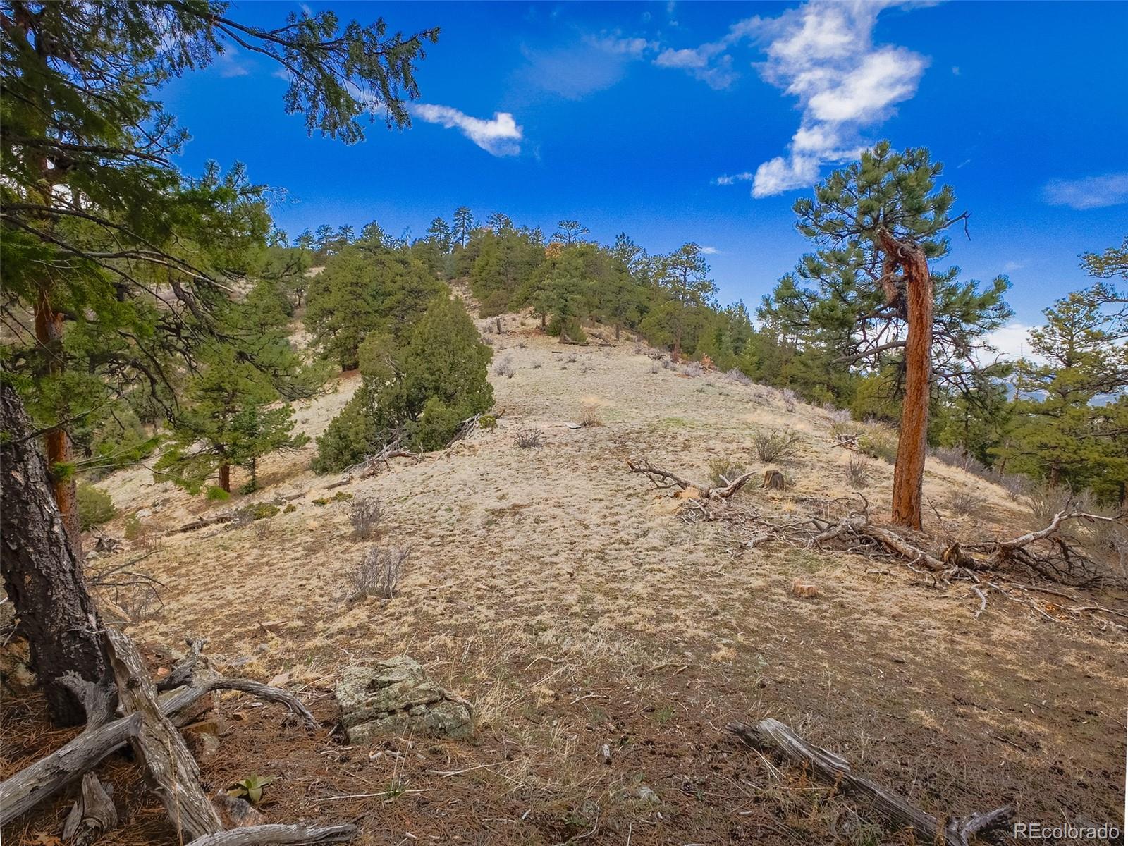 MLS Image #37 for 23778  inca road,indian hills, Colorado