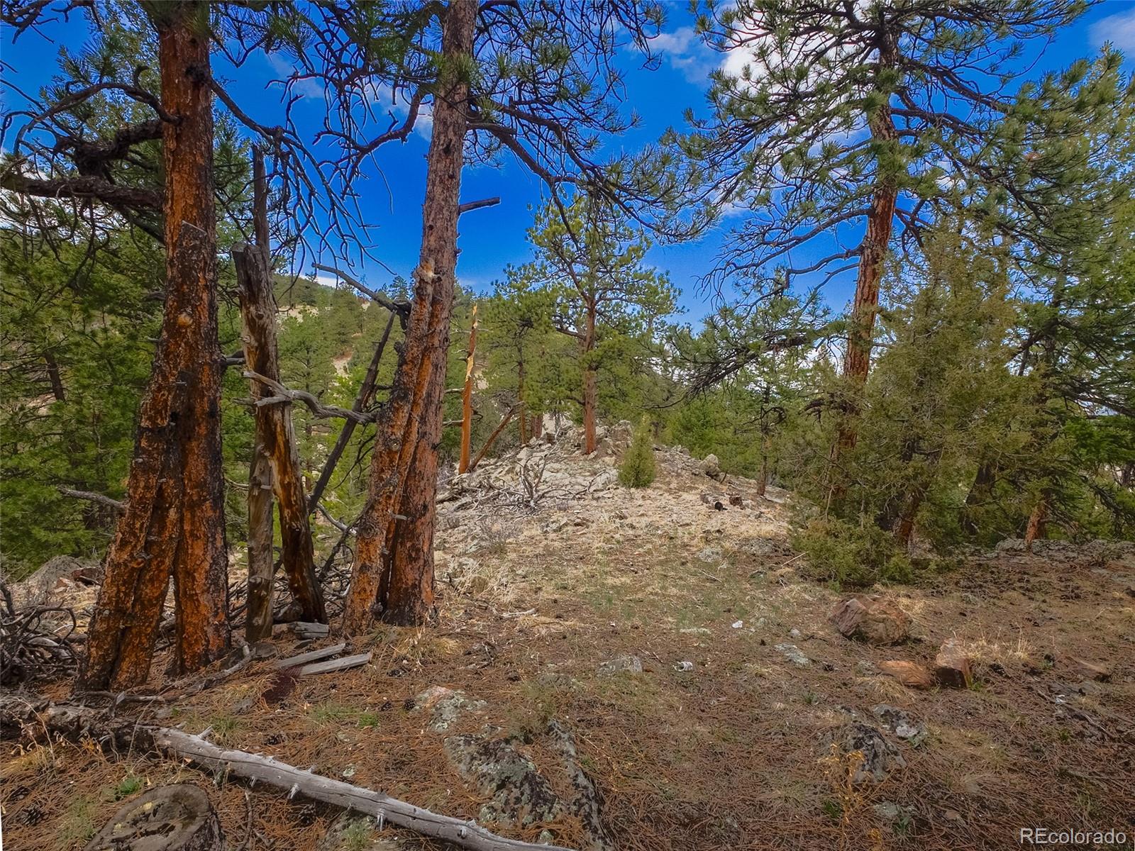 MLS Image #40 for 23778  inca road,indian hills, Colorado
