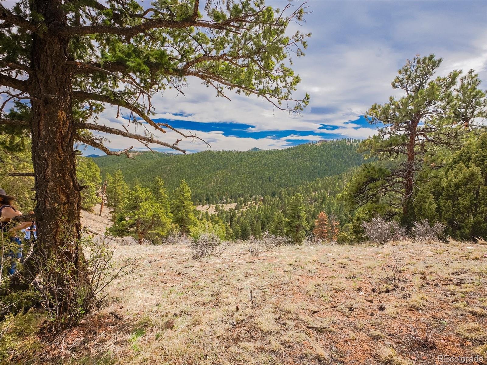 MLS Image #5 for 23778  inca road,indian hills, Colorado