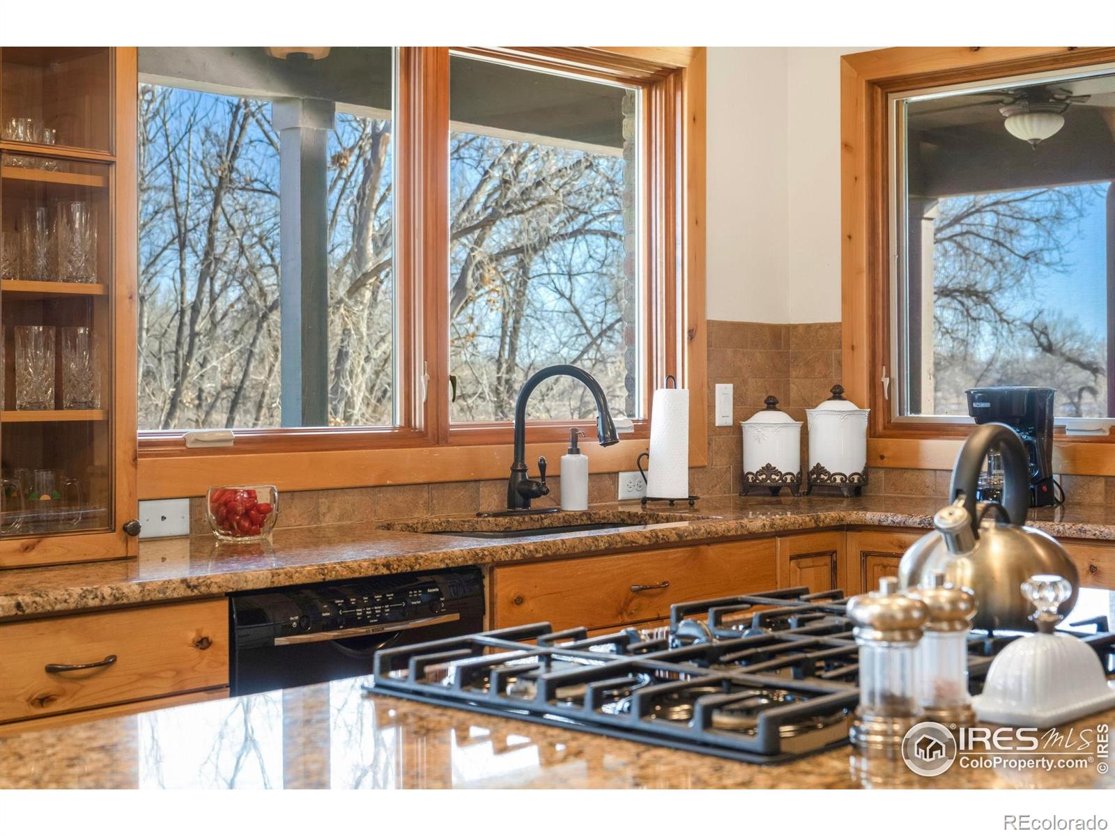 MLS Image #16 for 616  riverside court,greeley, Colorado