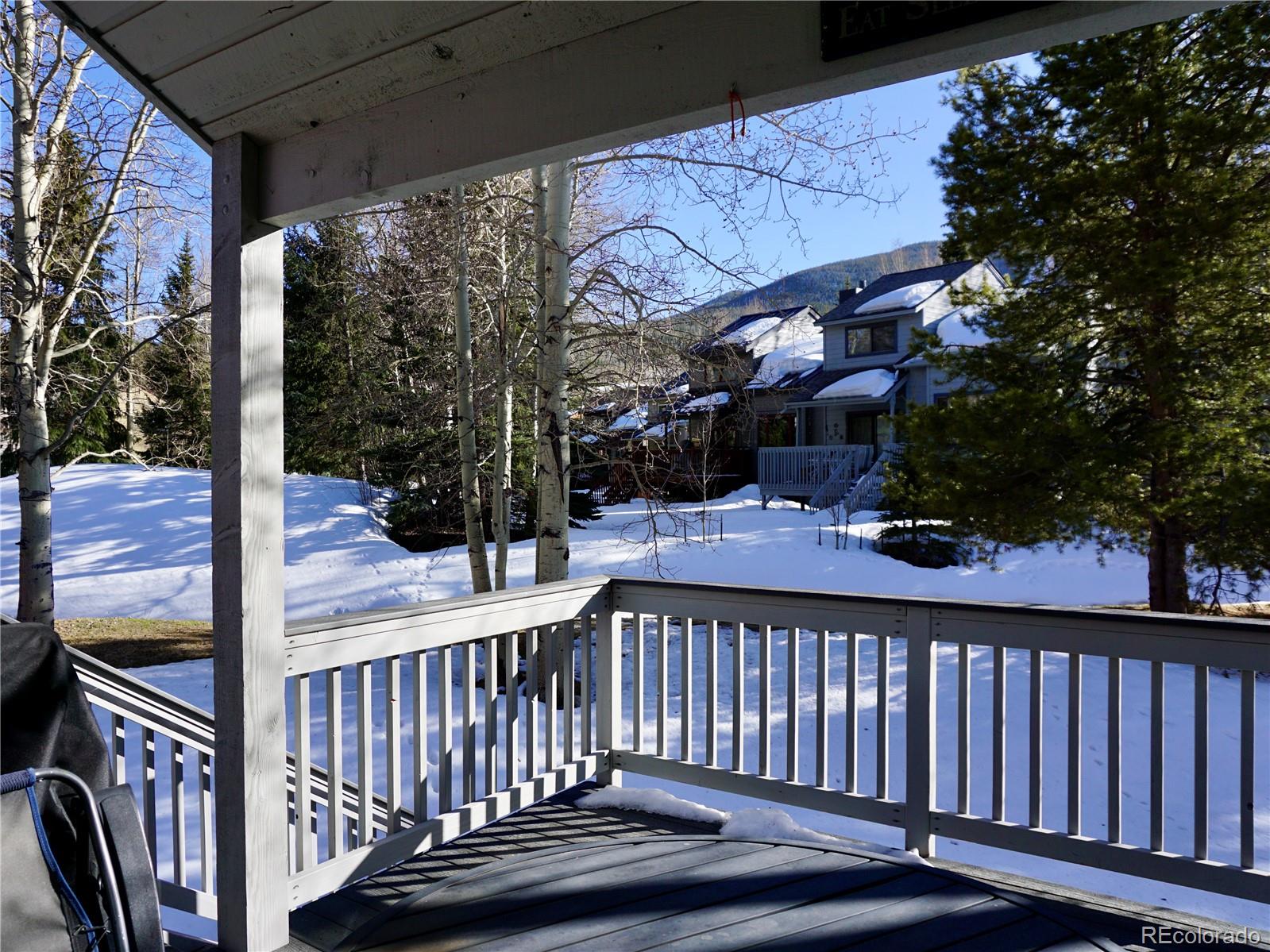 MLS Image #5 for 723  hunters circle,frisco, Colorado