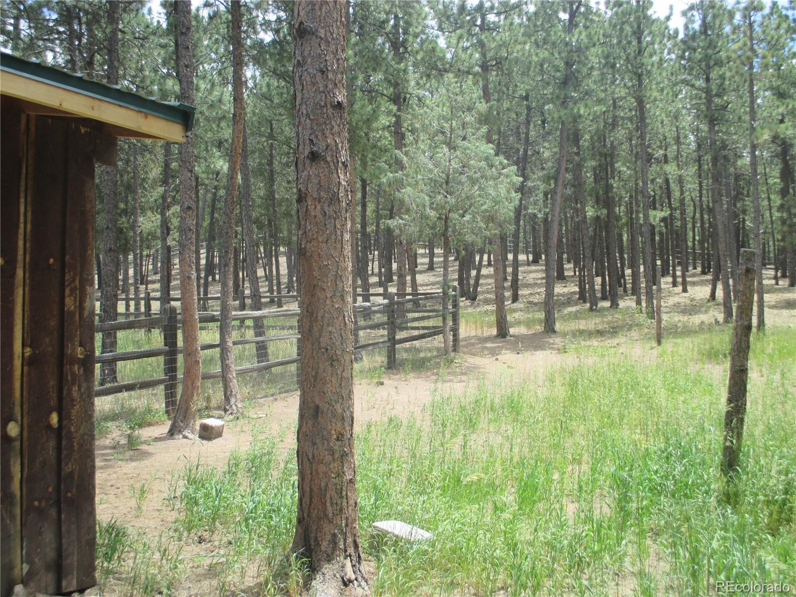 MLS Image #38 for 2956  nova road,pine, Colorado