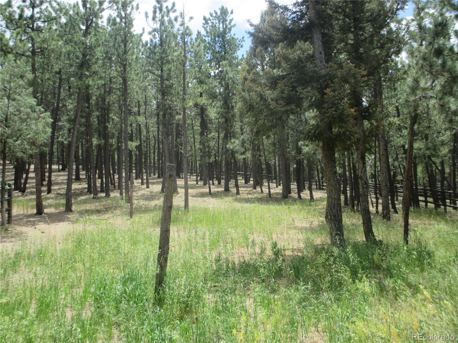 MLS Image #39 for 2956  nova road,pine, Colorado