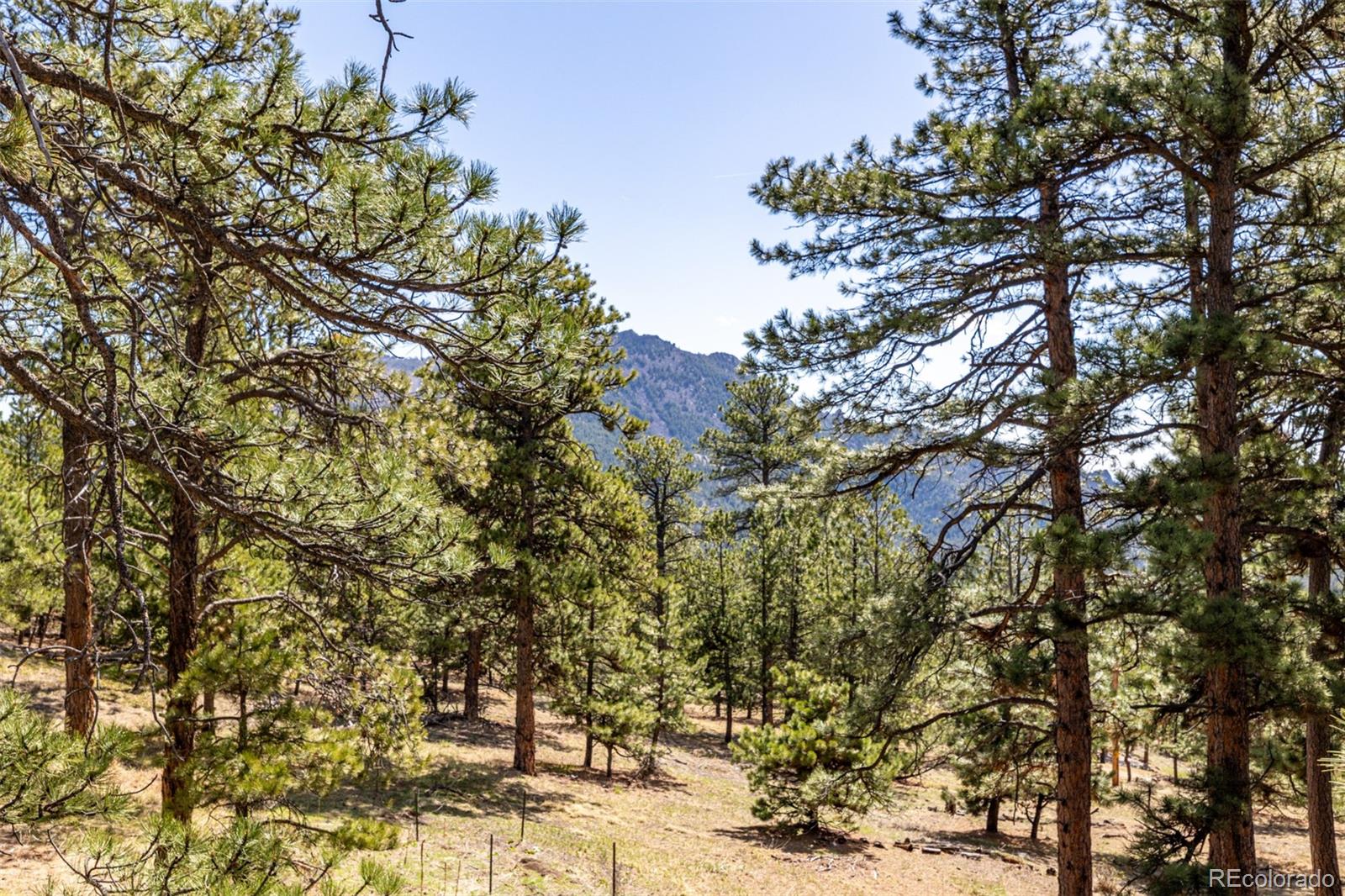 MLS Image #30 for 7105  flagstaff road,boulder, Colorado