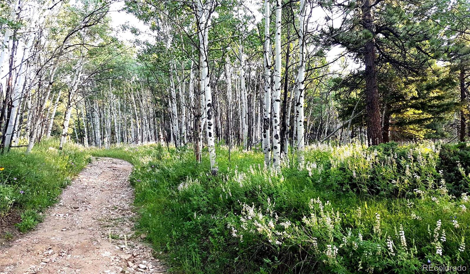 MLS Image #49 for 7105  flagstaff road,boulder, Colorado