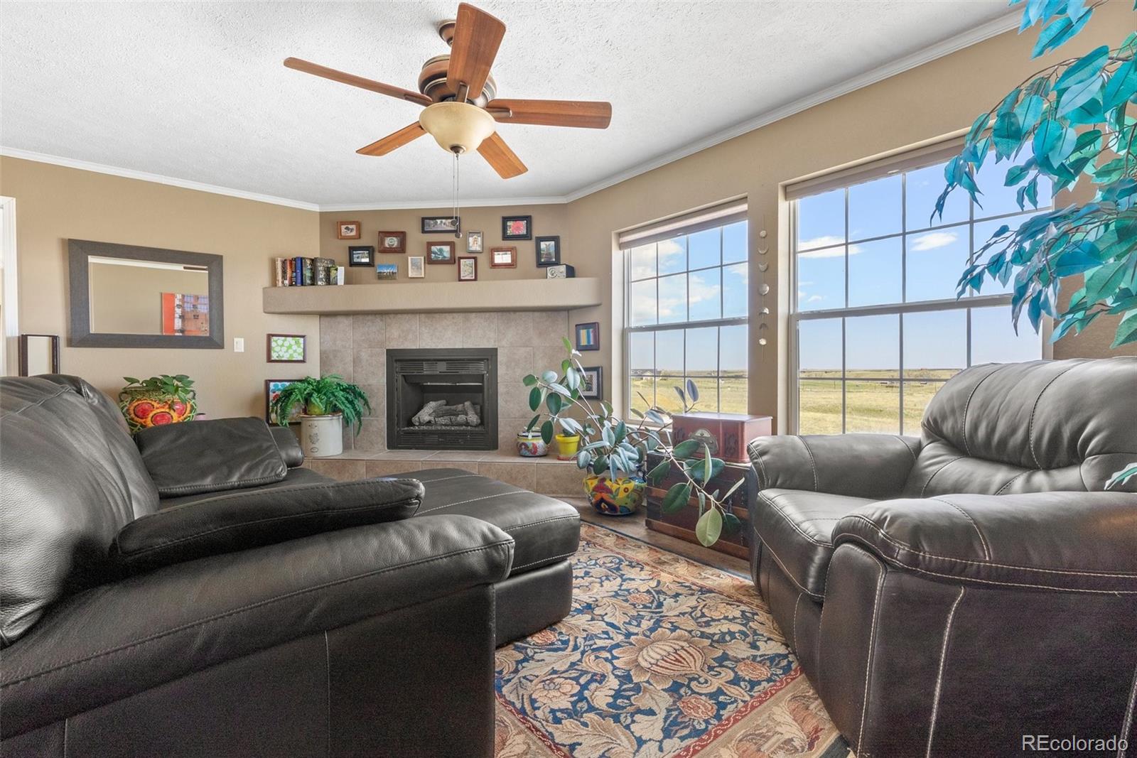MLS Image #3 for 13640  county road 182 ,bennett, Colorado