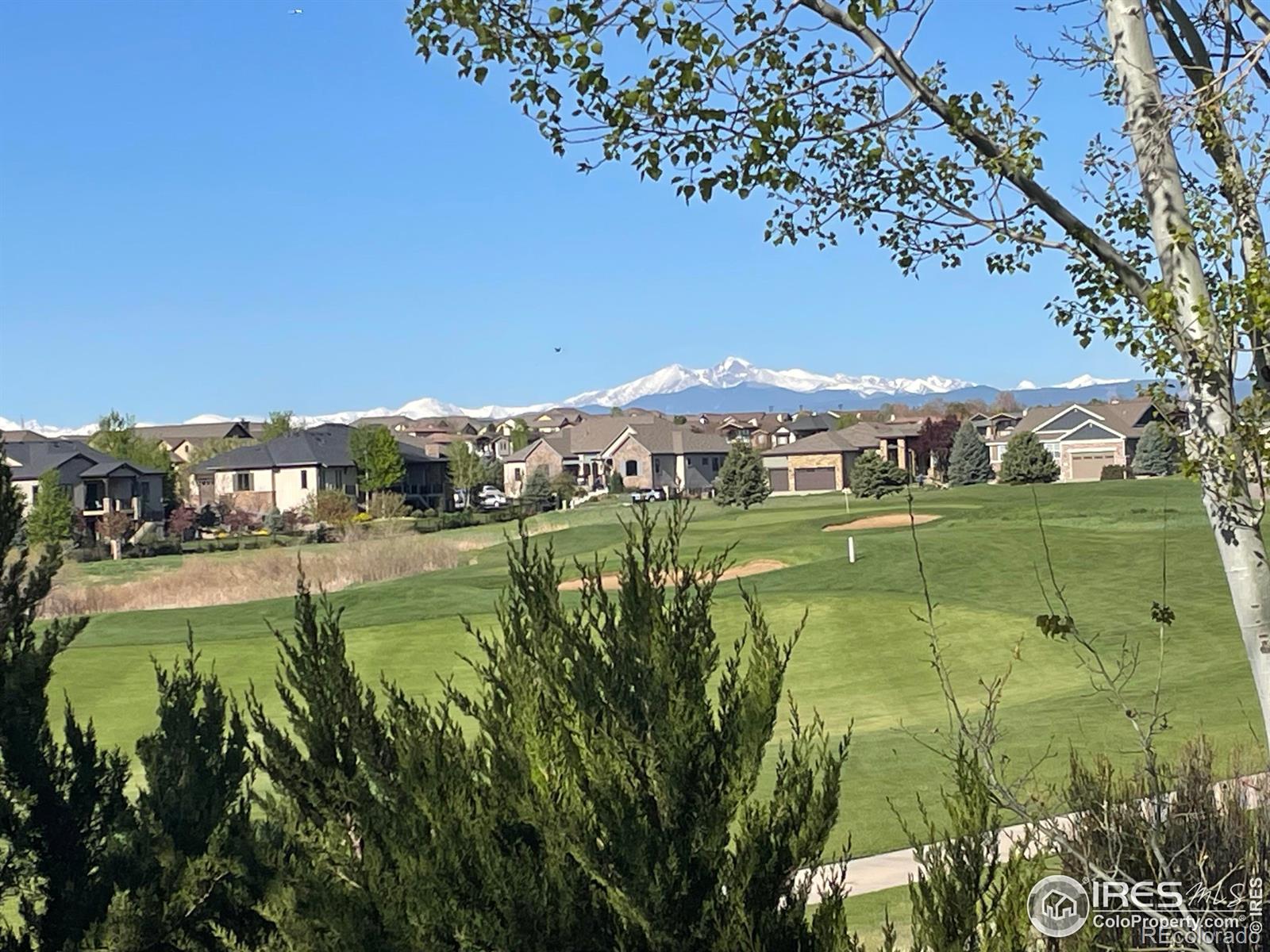 MLS Image #1 for 7225  royal country down drive,windsor, Colorado
