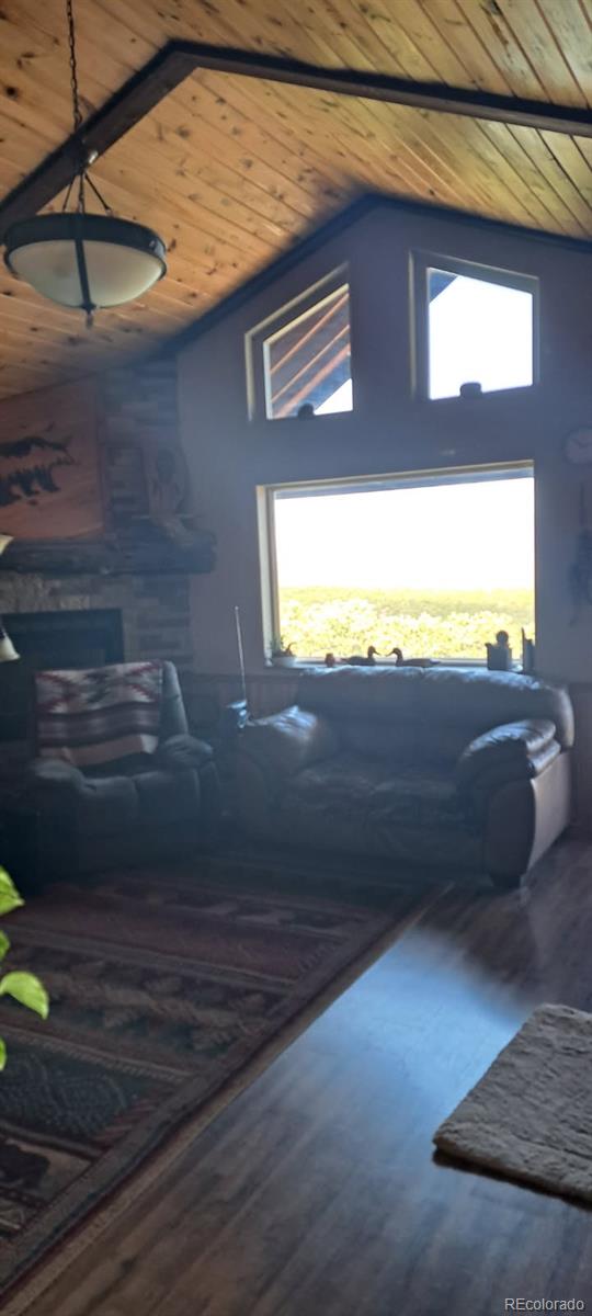 MLS Image #9 for 7865  platten road,fort garland, Colorado
