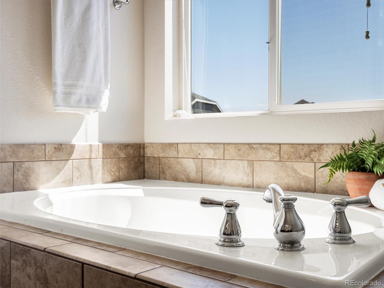 MLS Image #22 for 7812  blue water lane,castle rock, Colorado