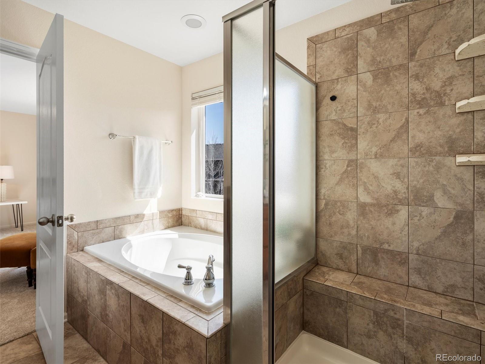MLS Image #23 for 7812  blue water lane,castle rock, Colorado