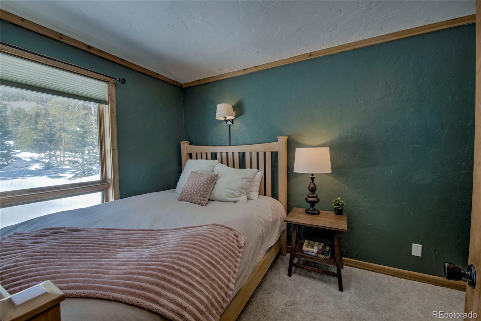 MLS Image #16 for 68  starlit lane,blue river, Colorado
