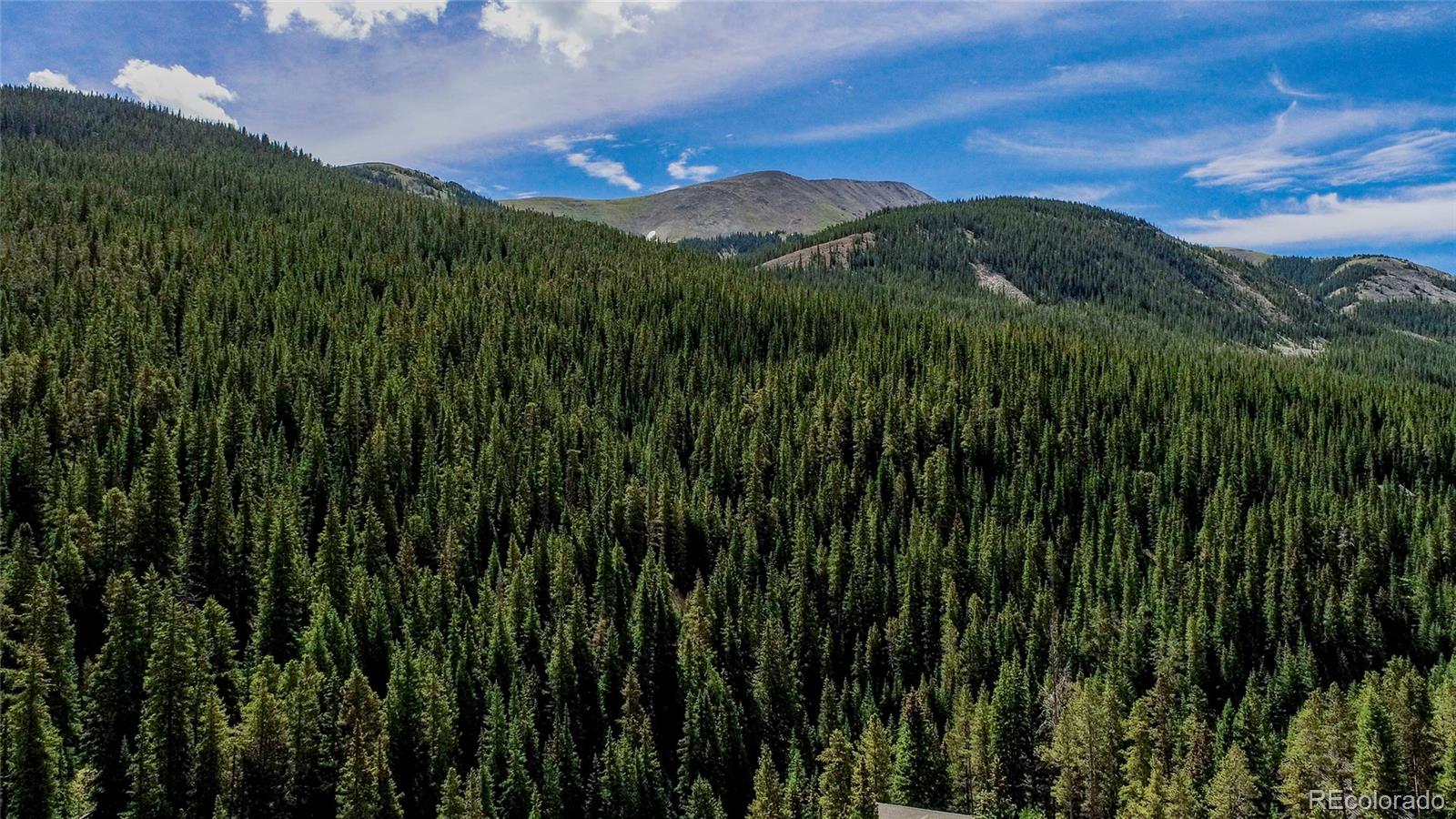 MLS Image #41 for 68  starlit lane,blue river, Colorado