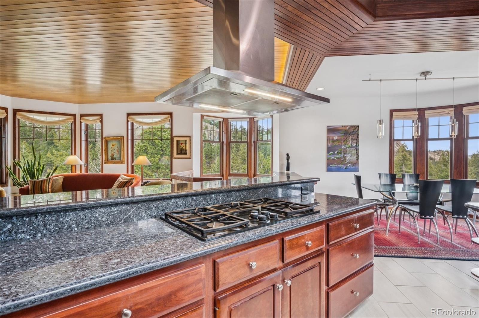 MLS Image #19 for 6767  timbers drive,evergreen, Colorado